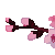 3sakuraki 3sakuraki