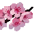 4sakuraki 4sakuraki
