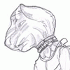 breathplayfurs breathplayfurs