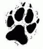 canids canids