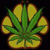 Cannibas_Community Cannibas_Community