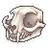 catskullllll2 catskullllll2