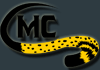 custom-metal-collars