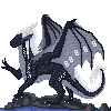 dracoexlibris dracoexlibris