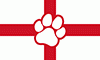 englishfurs englishfurs