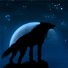 FA-Wolves FA-Wolves