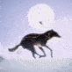 fellfallow fellfallow