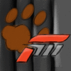 forzamotorsportfurs
