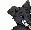 furrywuff4ev furrywuff4ev