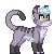 greykitty greykitty