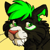 jaytailraiser