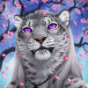 Kairus-SnowLeopard