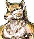 Marcwolf