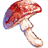 Mushroomcosmooleft