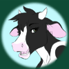 Nova_bovine