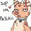 PATCHii PATCHii