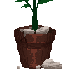 plant1