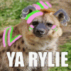 rylanazion rylanazion