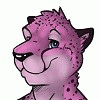 scithecheetah