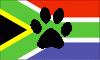 South-African South-African