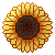 Sunflower.F2U Sunflower.F2U