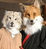 The-European-Fox