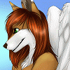 wolfheart1125 wolfheart1125
