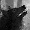 Wolnir Wolnir