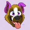 bandittheboxer