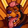 bearstub bearstub