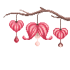 bleedingheart_L bleedingheart_L