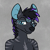 CallSignWolf