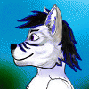 coderwolf
