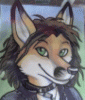 crevanfuchs crevanfuchs