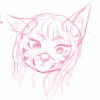 nimikitty