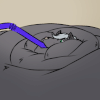 Pyx_the_Cat