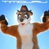 Timduru