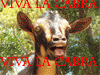 VIVALACABRA VIVALACABRA