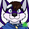 zander_x_wolf zander_x_wolf