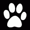 ~furry~