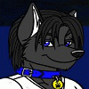 mitch_wolf