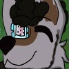 pimkowolfo