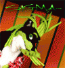 Sigma_Wolf