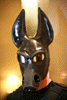 proxywolf