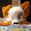 littlefangs