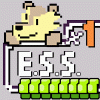 E.S.S.
