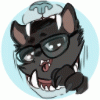 Mr.ShadowWolf