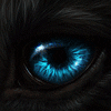 adrian_wolf