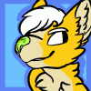 tsuki_the_coyote