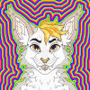aidenwolfe